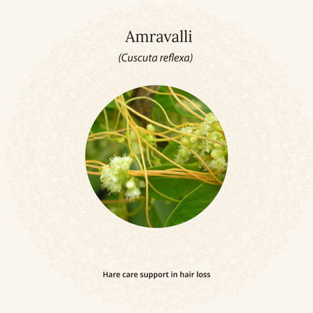 Amarantha Hair Oil
