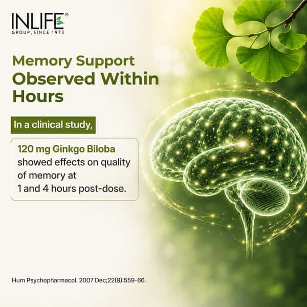 Inlife Ginkgo Biloba Extract - 120Mg Memory Brain Support - 60 Capsules