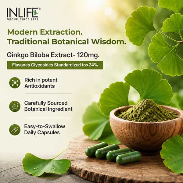 Inlife Ginkgo Biloba Extract - 120Mg Memory Brain Support - 60 Capsules