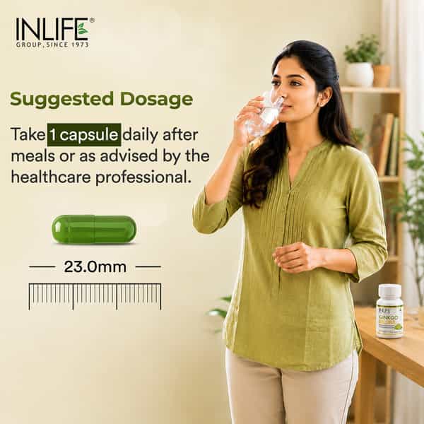 Inlife Ginkgo Biloba Extract - 120Mg Memory Brain Support - 60 Capsules