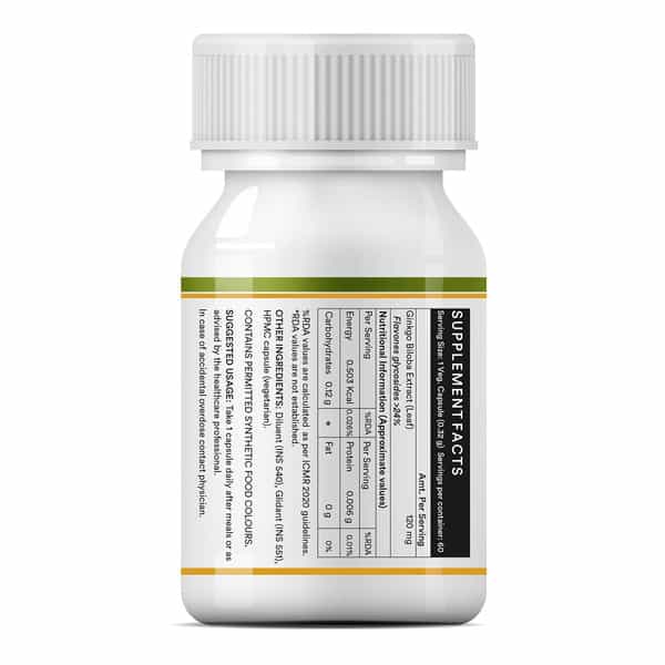 Inlife Ginkgo Biloba Extract - 120Mg Memory Brain Support - 60 Capsules