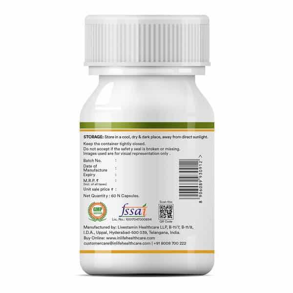 Inlife Ginkgo Biloba Extract - 120Mg Memory Brain Support - 60 Capsules