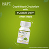 Inlife Ginkgo Biloba Extract (Flavons Glycosides > 24%) 120Mg -Healthy Brain Function -60 Veg Caps