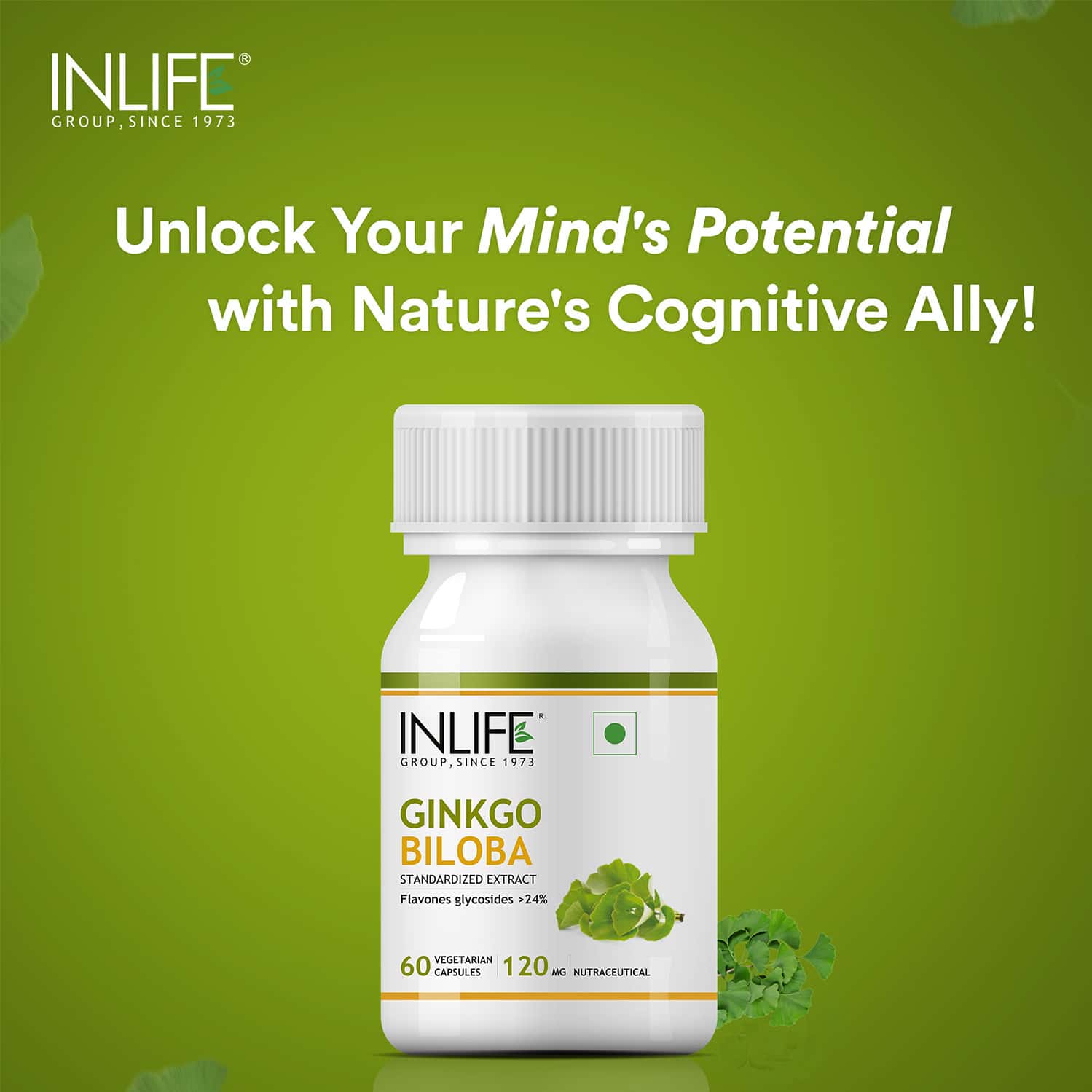 Buy INLIFE GINKGO BILOBA EXTRACT (FLAVONS GLYCOSIDES > 24) 120MG