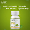 Inlife Ginkgo Biloba Extract (Flavons Glycosides > 24%) 120Mg -Healthy Brain Function -60 Veg Caps