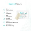 Maxiocel Wound Care Dressing For Diabetic Foot Ulcers (5Cm X 10Cm) - Box Of 10 Units