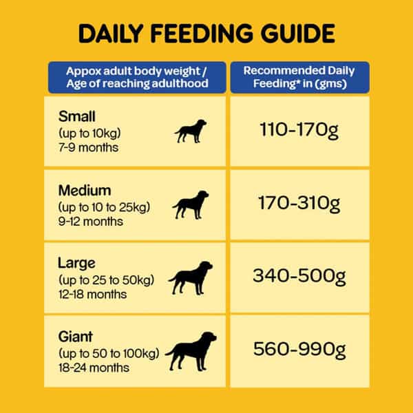 Pedigree Dog Food Adult Chicken & Vegetable 3 Kg