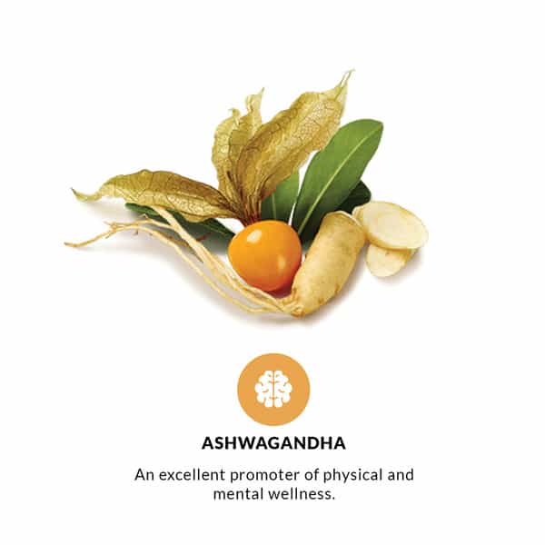 Pravek Ashwagandha 60 Capsules