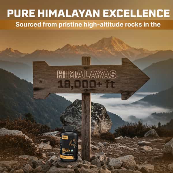 Beastlife Himalayan Shilajit+ Capsules 60N