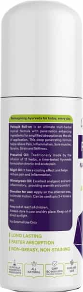 Siddhayu Painquit Roll On (By Baidyanath) Natural Ayurvedic Joint And Muscular Pain Relief | 75 Ml