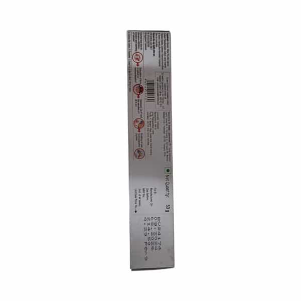 Vantej Long Lasting Protection Mint Flavour Everyday Toothpaste 50Gm