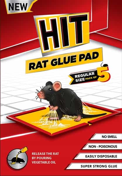 Godrej Hit Rat Glue Pad - Regular Pack Of 5