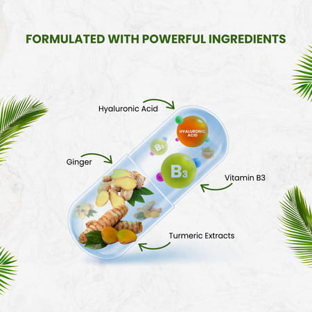 Himalayan Organics Ageless | Support Youthful Skin | Bottle | 60 Veg Capsules