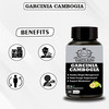 Earth King Garcinia Cambogia Capsule With Green Tea & Extract - 500Mg 60 Capsules (Pack Of 2)
