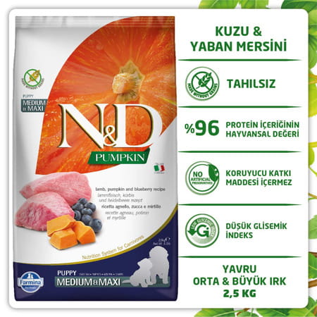 Farmina N&D Pet Foods Pumpkin Dry Dog Pet Food | Medium & Maxi Breed | 2.5-Kg | Lamb And Blueberry