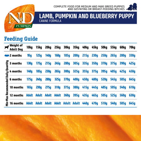 Farmina N&D Pet Foods Pumpkin Dry Dog Pet Food | Medium & Maxi Breed | 2.5-Kg | Lamb And Blueberry