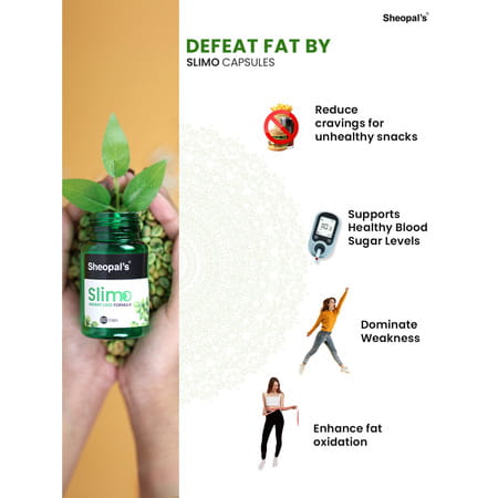 Sheopal'S Diabdex & Slimo Capsule Help For Blood Sugar & Slimo Weight Loss & Fat Burner 60 Caps