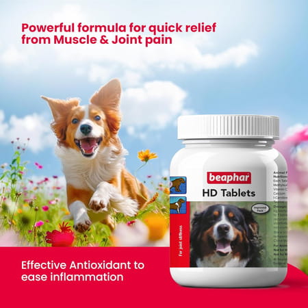 Beaphar Hd Tablet Dog Joint Supplement For Hip Dysplasia & Joint Problems - 60 Tablets