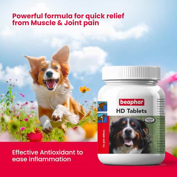 Beaphar Hd Tablet Dog Joint Supplement For Hip Dysplasia & Joint Problems - 60 Tablets