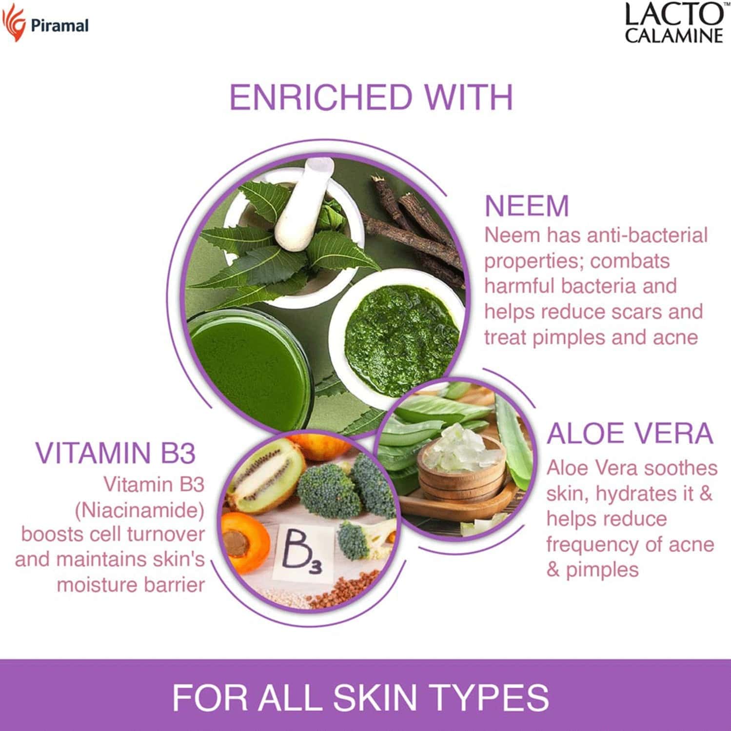 Buy LACTO CALAMINE OIL CONTROL WIPES WITH NEEM VITAMIN B3 AND ALOE VERA 30 WIPES Online & Get