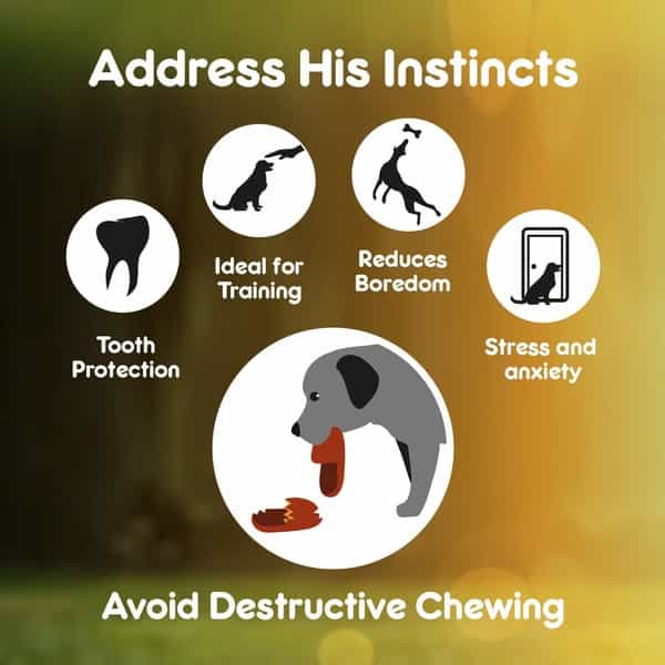 Purepet Pressed Chew Bones Dog Treats 4 Inches - Pack Of 4 Bones