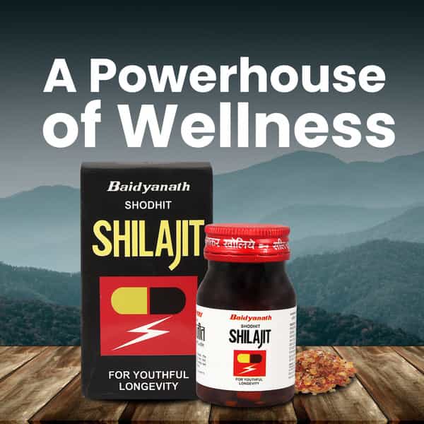 Baidyanath Ayurved Shodhit Shilajit 30 Caps | Strength & Stamina Support