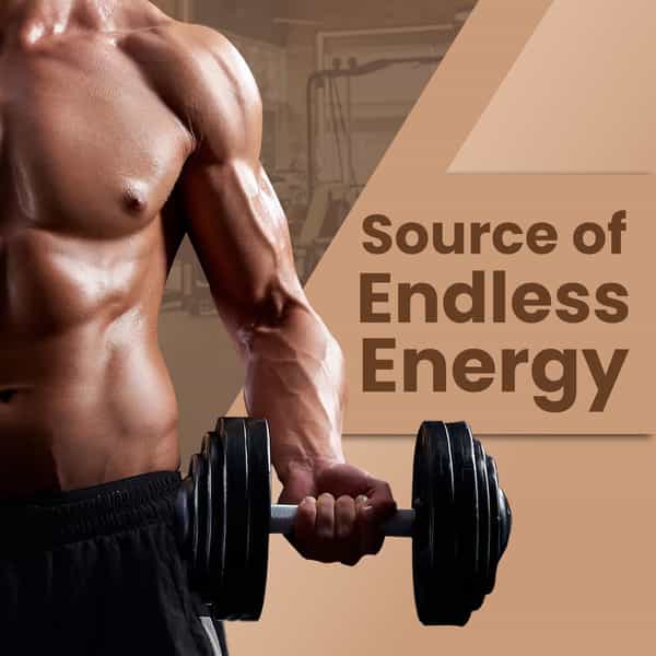 Baidyanath Ayurved Shodhit Shilajit 30 Caps | Strength & Stamina Support