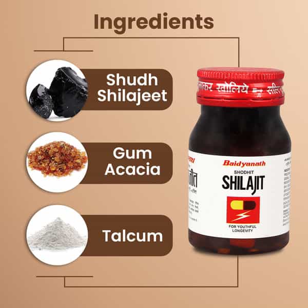 Baidyanath Ayurved Shodhit Shilajit 30 Caps | Strength & Stamina Support