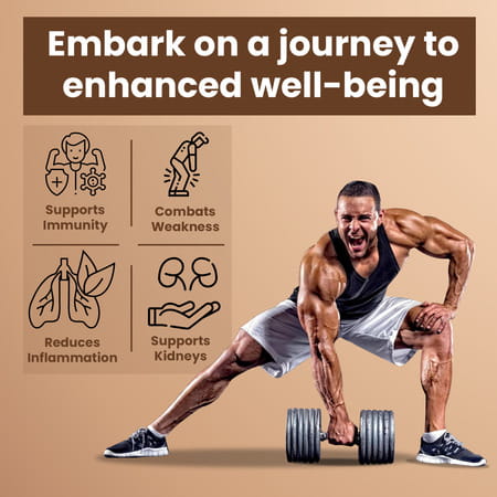 Baidyanath Shodhit Shilajit 30 Capsuls