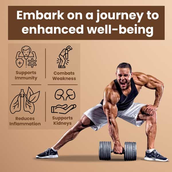 Baidyanath Ayurved Shodhit Shilajit 30 Caps | Strength & Stamina Support