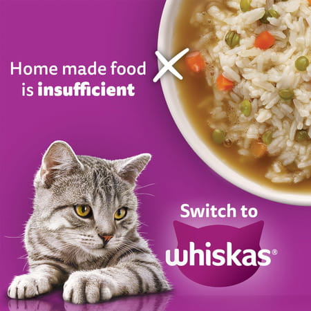 Whiskas Adult (1+ Years) Dry Cat Food | Tuna Flavour | 20 Kg