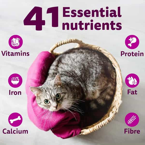 Whiskas Adult (1+ Years) Dry Cat Food | Tuna Flavour | 20 Kg