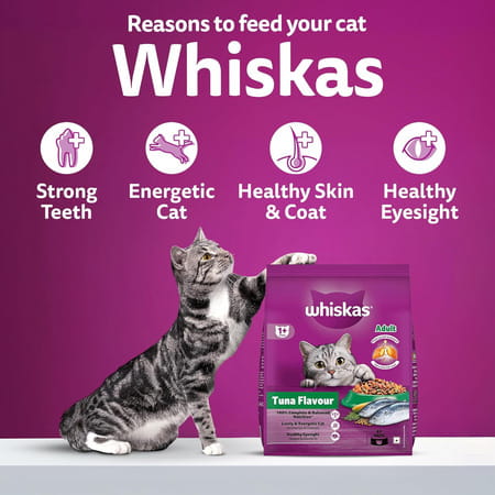 Whiskas Adult (1+ Years) Dry Cat Food | Tuna Flavour | 20 Kg