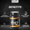 Inlife 100% Raw Whey Protein Powder Concentrate Instantized - 2.2 Lb /1Kg 33 Servings (Unflavoured)