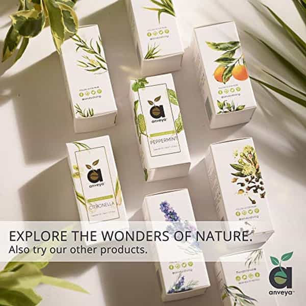 Anveya Eucalyptus Essential Oil 100% Natural