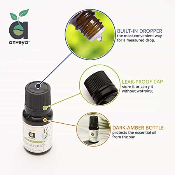 Anveya Eucalyptus Essential Oil 100% Natural