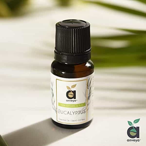 Anveya Eucalyptus Essential Oil 100% Natural