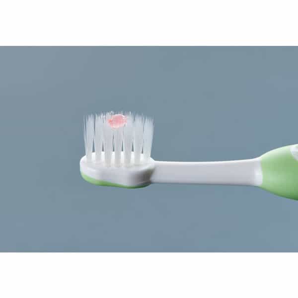 Chicco Toothbrush | 6-36 Months (Green)