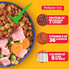 Pedigree Dog Food Puppy Chicken & Milk 1.2 Kg