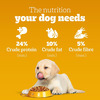 Pedigree Dog Food Puppy Chicken & Milk 1.2 Kg