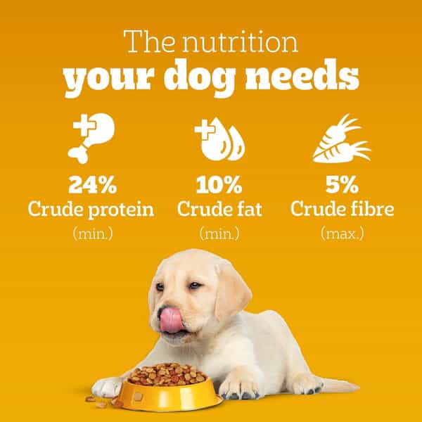 Pedigree Dog Food Puppy Chicken & Milk 1.2 Kg
