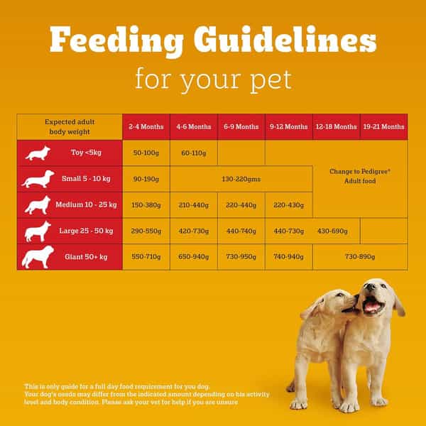 Pedigree Dog Food Puppy Chicken & Milk 1.2 Kg