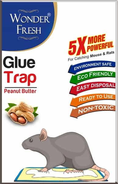 Wonder Fresh Glue Trap Big Size