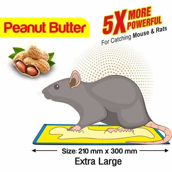 Wonder Fresh Glue Trap Big Size