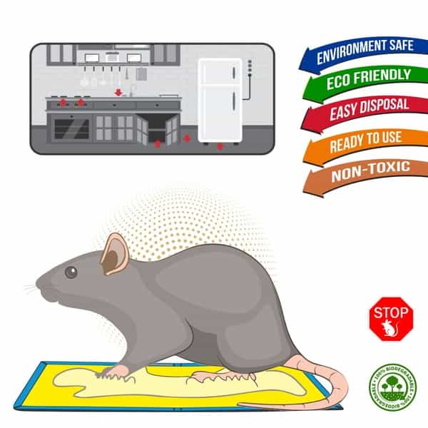 Wonder Fresh Glue Trap Big Size