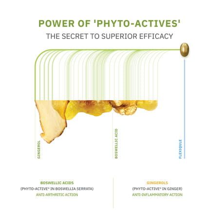 Flexiqule Natural Care For Joint Stiffness And Pain (Pack Of 7)