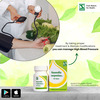 Dr. Willmar Schwabe Rauwolfia Serpentina 1x - 20gm (Pack Of 1)