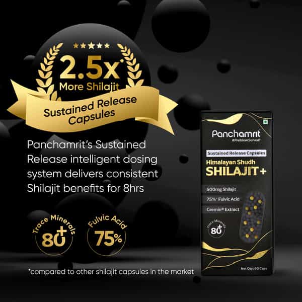 Panchamrit 500Mg Himalayan Shilajit Sustained Release Capsules 60 No's