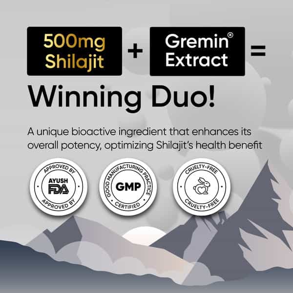 Panchamrit 500Mg Himalayan Shilajit Sustained Release Capsules 60 No's
