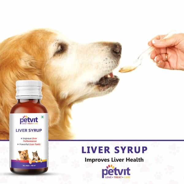 Petvit Liver Syrup With 15 Active Ingredients For Liver- Dog Supplement For All Age Group - 100Ml